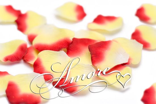 Picture of Silk Rose Petals Athena (Yellow and Red)
