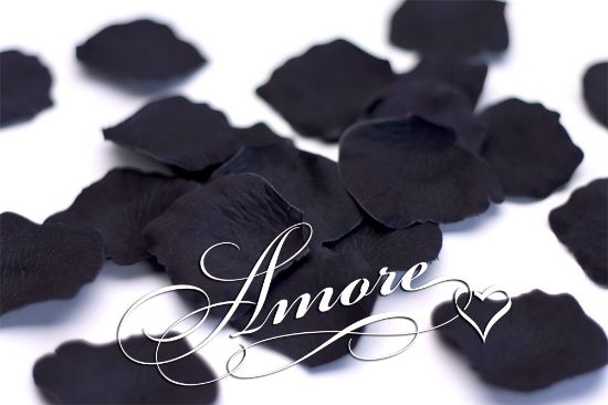 Picture of Silk Rose Petals Black