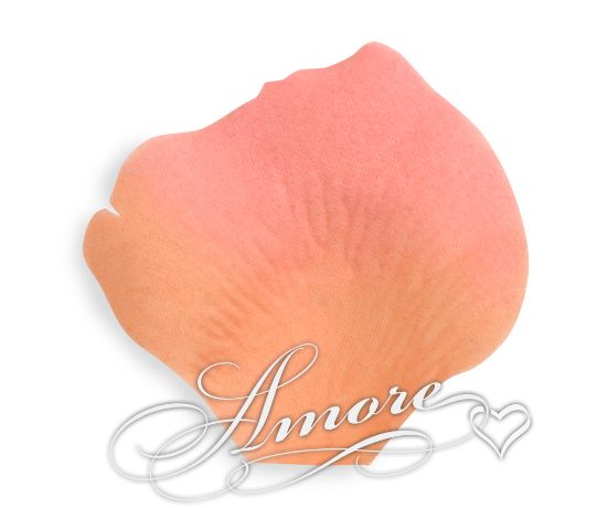 Picture of Silk Rose Petals Coral