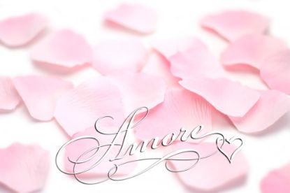 Picture of Silk Rose Petals Double Pink