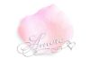 Picture of Silk Rose Petals Double Pink