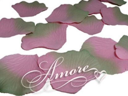 Picture of Silk Rose Petals Green-Pink
