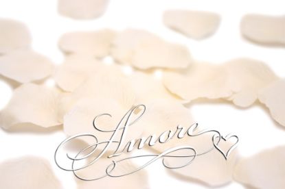 Picture of Silk Rose Petals Ivory