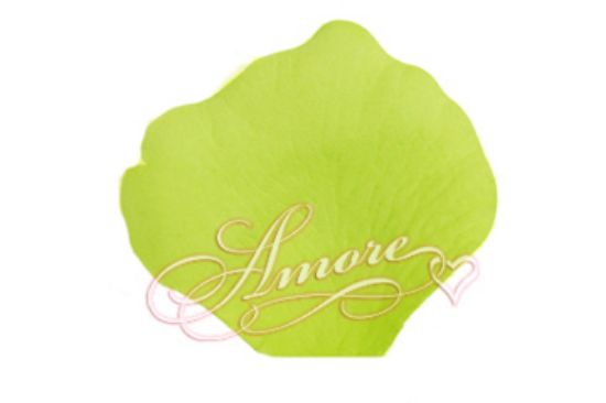 Picture of Silk Rose Petals Mint-Pale Green