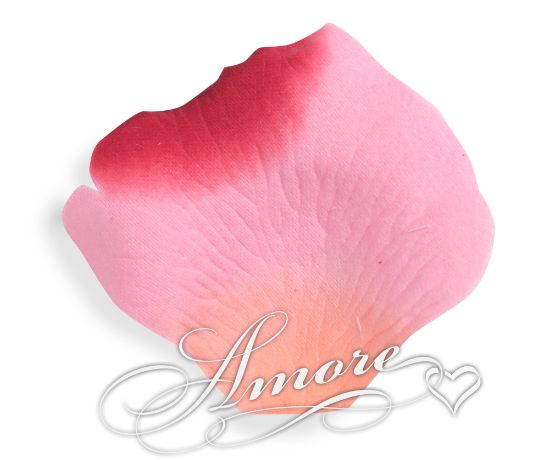 Picture of Silk Rose Petals Mirage (Apricot-Pink-Red)