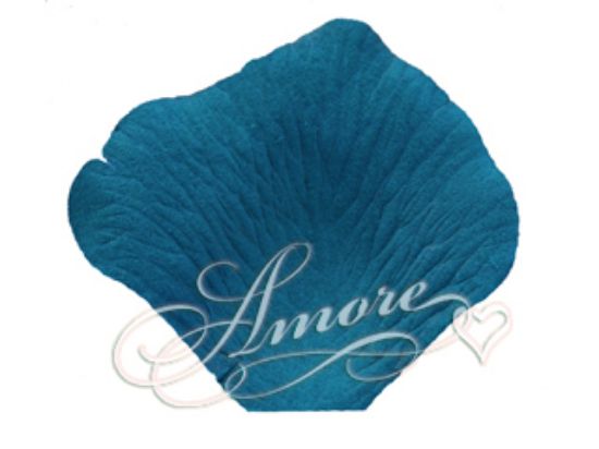 Picture of Silk Rose Petals Oasis Blue