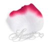 Picture of Silk Rose Petals Paris (White and Burgundy)