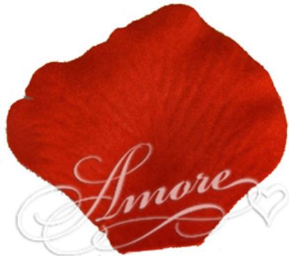 Picture of Silk Rose Petals Persimmon Brick Orange