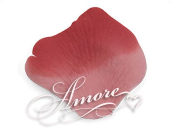 Picture of Silk Rose Petals Rio Red (Pink and Red)