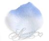 Picture of Silk Rose Petals Tropical Blue(Sky Blue and Cornflower)
